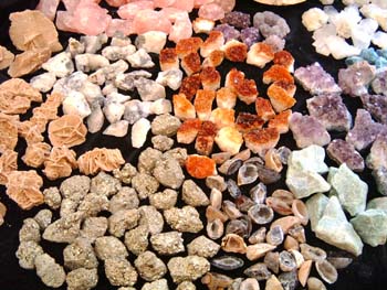 LPIC0032.jpg